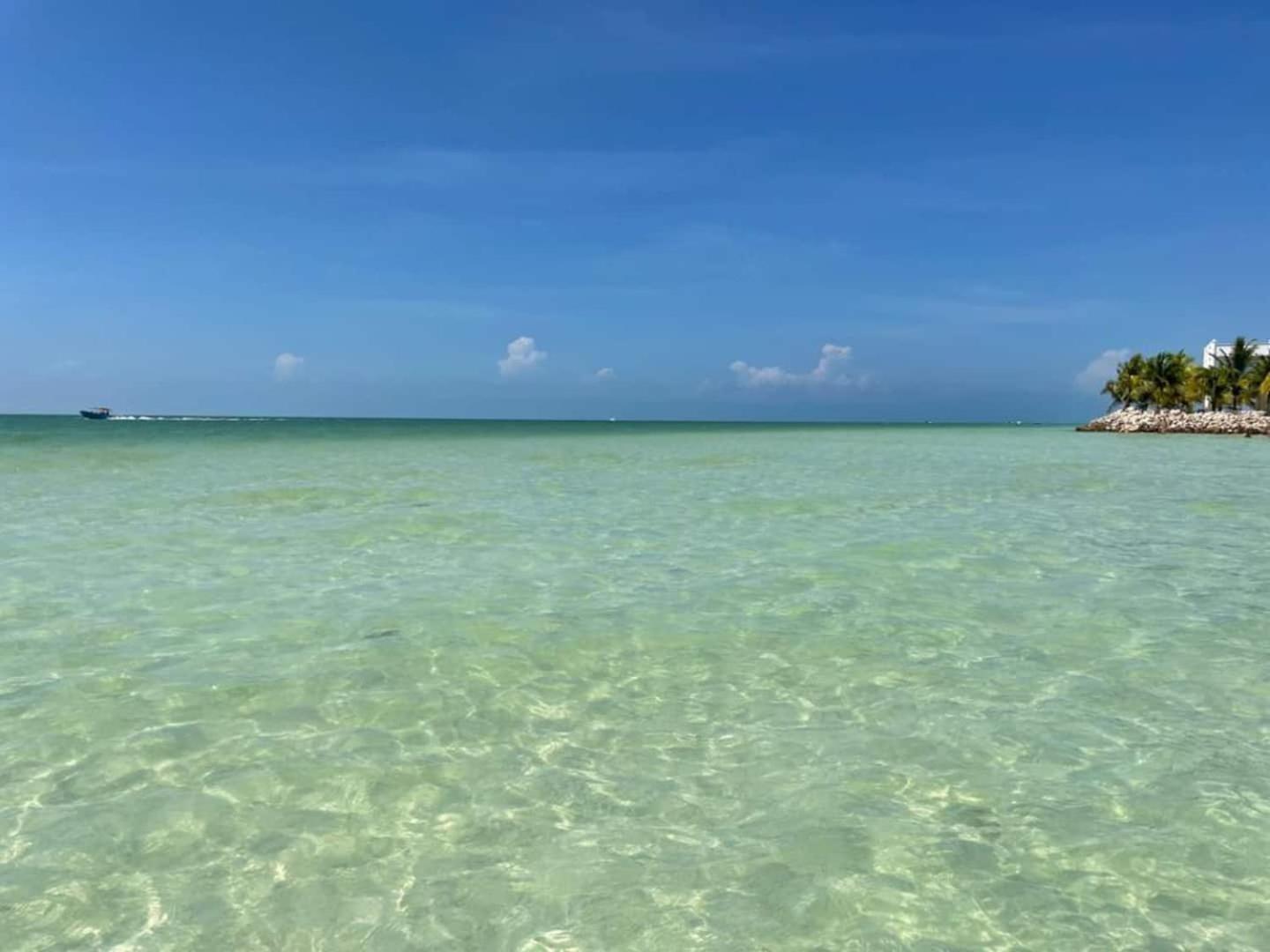 Pool View Loft Steps From The Ocean In Punta Cocos - C101 Hotel Isla Holbox Buitenkant foto